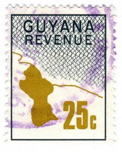 (I.B) British Guiana (Guyana) Revenue : Duty Stamp 25c 