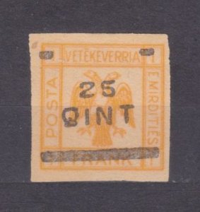 1921 Albania Vetekeverria e Mirdities  Overprint - 25 QINT