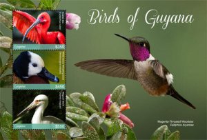 Guyana 2017 - Birds of Guyana - Sheet of 3 Stamps - MNH