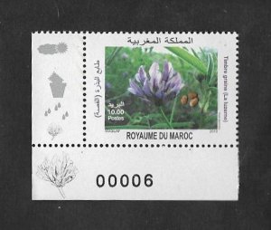 vtadc.SD)2010 MOROCCO  EARTH DAY, FLOWER WITH SEEDS, MNH