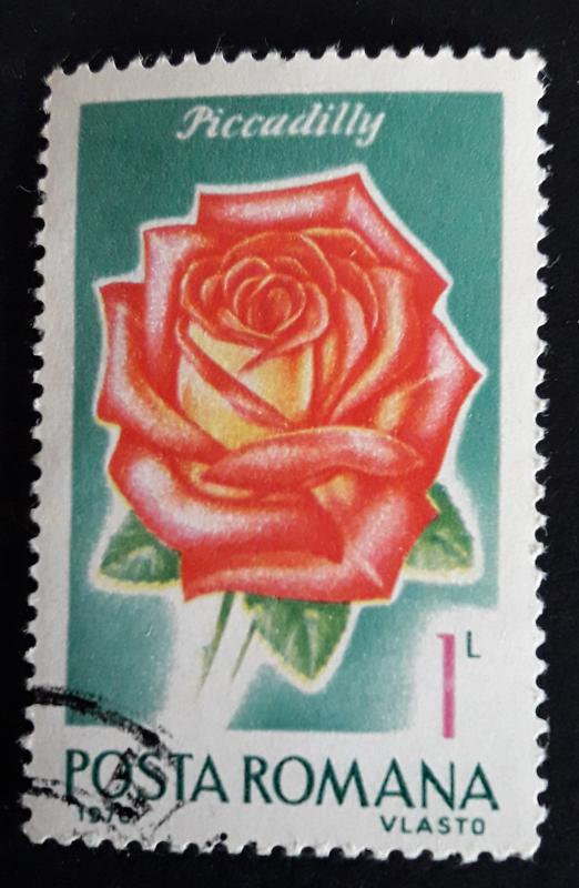 Flower, Europe, Romania, 1970, №13-Таня