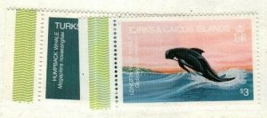 Turks and Caicos Scott 570-1 Mint NH [TG1402]