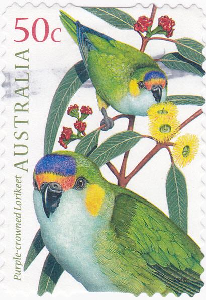 Australia -2005 Aust. Parrots \Lorikeet\ -used 50c SG 2488