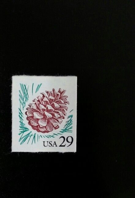 1993 29c Pine Cone Scott 2491 Mint F/VF NH