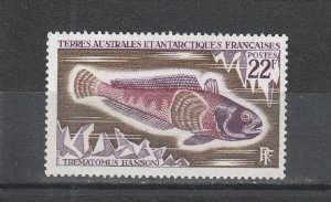 French Southern and Antarctic Territories  Scott#  40  MNH  (1971 Antarctic Cod