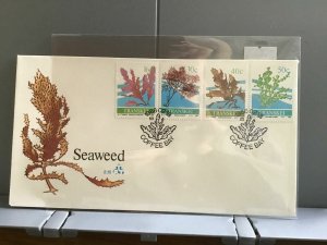 Transkei 1988 Seaweed  with special cancel   stamps  cover R29034