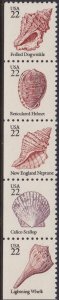 2121e Seashells MNH