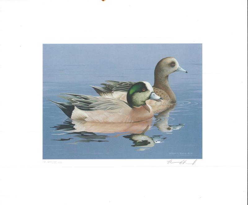 1984 Federal Duck Stamp RW51 Widgeon Painting Print Medallion Ed. William Morris