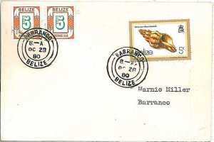 28699  - BELIZE - Postal History  REVENUE  STAMPS on COVER   HATTIEVILLE 1980