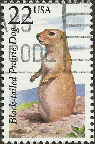 # 2325 USED BLACK TAILED PRAIRIE DOG