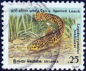 Sri Lanka 1990  Sc#977, SG#1133 25c Spotted Loach Fish USED-VF-NH.