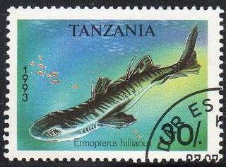 Tanzania 1137 - Cto-nh - Carribean Lanternshark