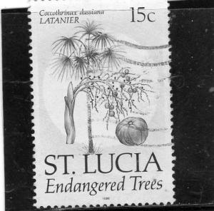 St Lucia Endangered Tree used