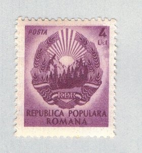 Romania Forest violet 4l (AP134613)