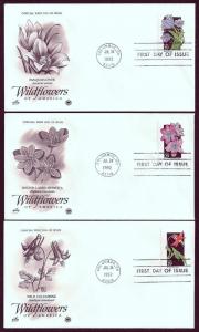 UNITED STATES FDCs (50) 29¢ Wildflowers 1992 Postal Commem