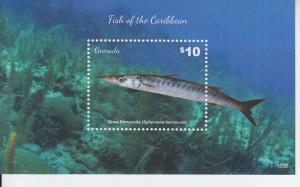 2015 Grenada Fish Great Barracuda SS (Scott 4113) MNH