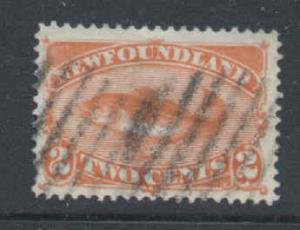 Newfoundland #6409 - Scott cat. #48b - 2c Codfish , orange - used -