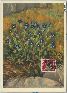 57036 - BELGIUM - POSTAL HISTORY: MAXIMUM CARD 1951 - FLOWERS-