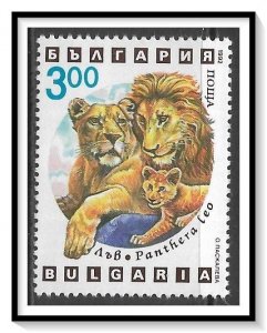 Bulgaria #3742 Wild Cats MNH