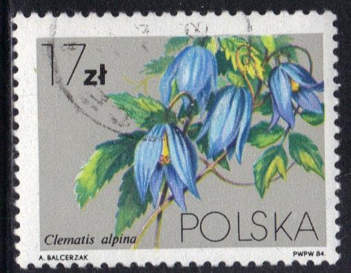 Poland     #2613  cancelled    1984   clematis  17z