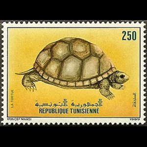 TUNISIA 1989 - Scott# 961 Tortois 250m NH