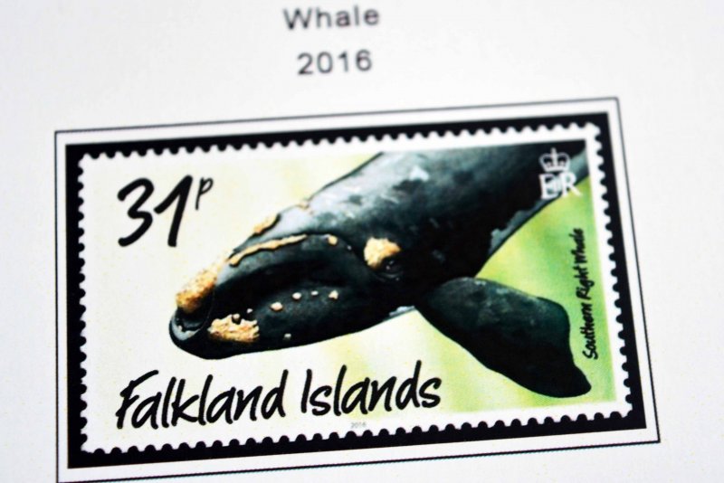 COLOR PRINTED FALKLAND ISLANDS 2011-2020 STAMP ALBUM PAGES (36 illustr. pages)