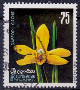 Sri Lanka, 1976, Flowers, Daffodil Orchis, 0.75c, used*