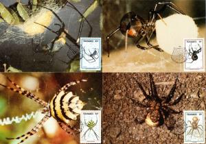 Transkei - 1987 Spiders Maxi Card Set SG 205-208