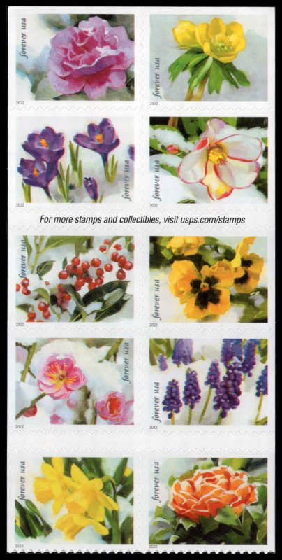 USA 5736a,5727-5736 Mint (NH) Snowy Beauty Booklet Block of 10