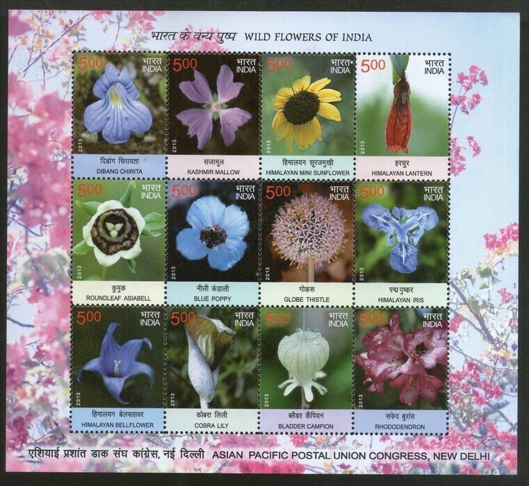 India 2013 Wild Flowers of India Lily Sunflowers Poppy Plant 12v Sheetlet MNH...