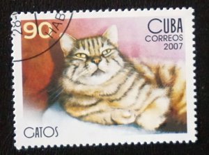 CUBA Sc# 4678  CATS  CATS CATS!  domestic feline pet 90c  2007 used cto