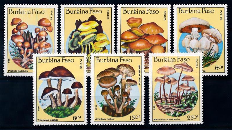 [65743] Burkina Faso 1985 Mushrooms Pilze Champignons  MNH