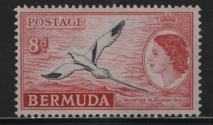 BERMUDA 153  MNH