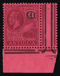 ANTIGUA 1921 KGV Badge £1 MNH ** Top Value