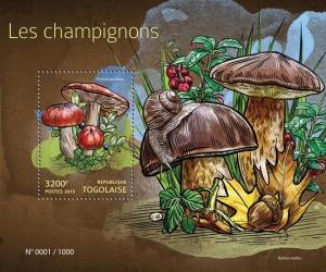 TOGO 2015 SHEET MUSHROOMS tg15415b