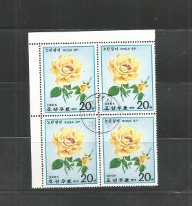 Roses - Yellow rose