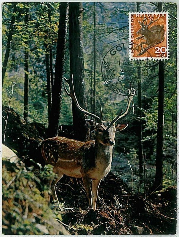 32195 - SWIZZERLAND  - POSTAL HISTORY - MAXIMUM CARD - FAUNA Deers  ANIMALS 1965