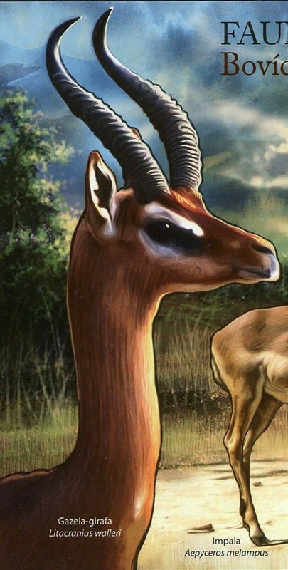 Antelopes Stamp Impala Litocranius Walleri Souvenir Sheet MNH #4958 / Bl.510