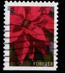 #4816 Poinsetta (Off Paper)- Used