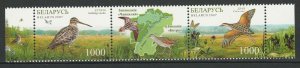 Belarus 2007 Birds joint Latvia 2 MNH stamps