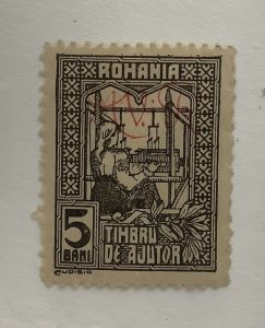 Romania 1917 Scott 3NRA1 MH - 5b, the Queen weaving, Overprinted