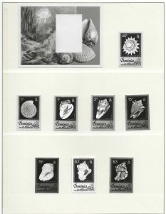 DOMINICA 1976 SEA SHELLS SET OF SEVEN PLUS SS BROMIDES PROOFS STAMP SIZED PHOTOS