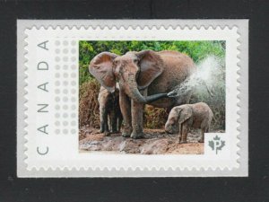 ELEPHANT FAMILY = Picture Postage Personalized stamp Canada 2014 [p72WL10/1]