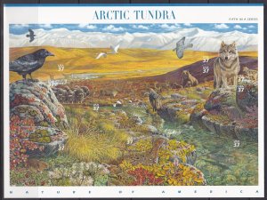 3802 Arctic Tundra MNH