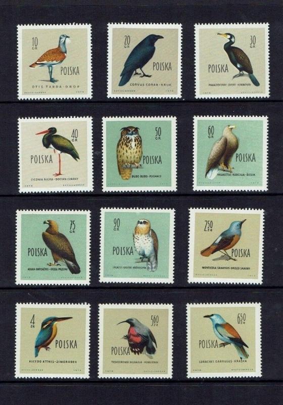 Poland: 1960, Birds, MNH set