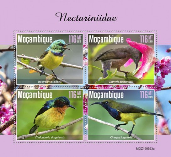 MOZAMBIQUE - 2019 - Sunbirds - Perf 4v Sheet  - M N H