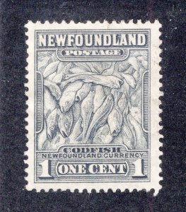 Newfoundland 1932 1c gray black Codfish, Scott 184 MNG, value = 60c