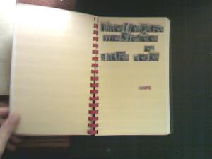 US COLLECTION IN STOCKBOOK