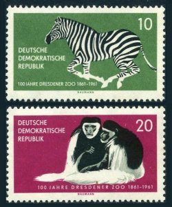 Germany-GDR 552-553, MNH. Mi 825-826. Dresden ZOO,1 961. Zebra, Colobus monkeys.