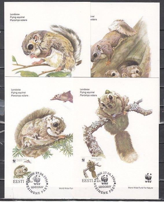 Estonia, Scott cat. 270-273. Squirrels on W.W.F. issue. 4 Maximum Cards.